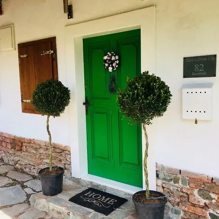 Dum U Dvou Lip / The Two Lime Trees Villa Javornik  Exterior photo